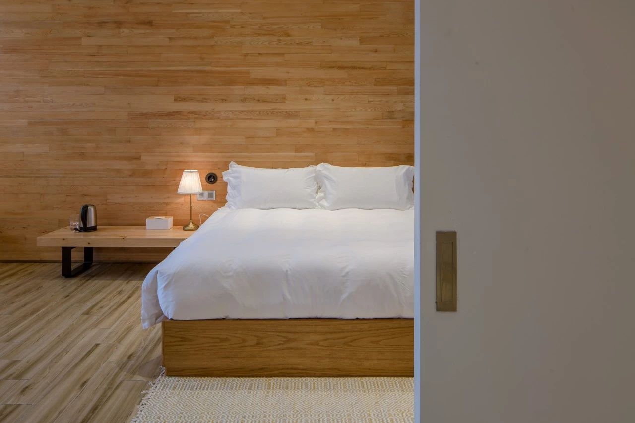 九熹·大樂之野，流水的大樂之野鐵打的小白墻