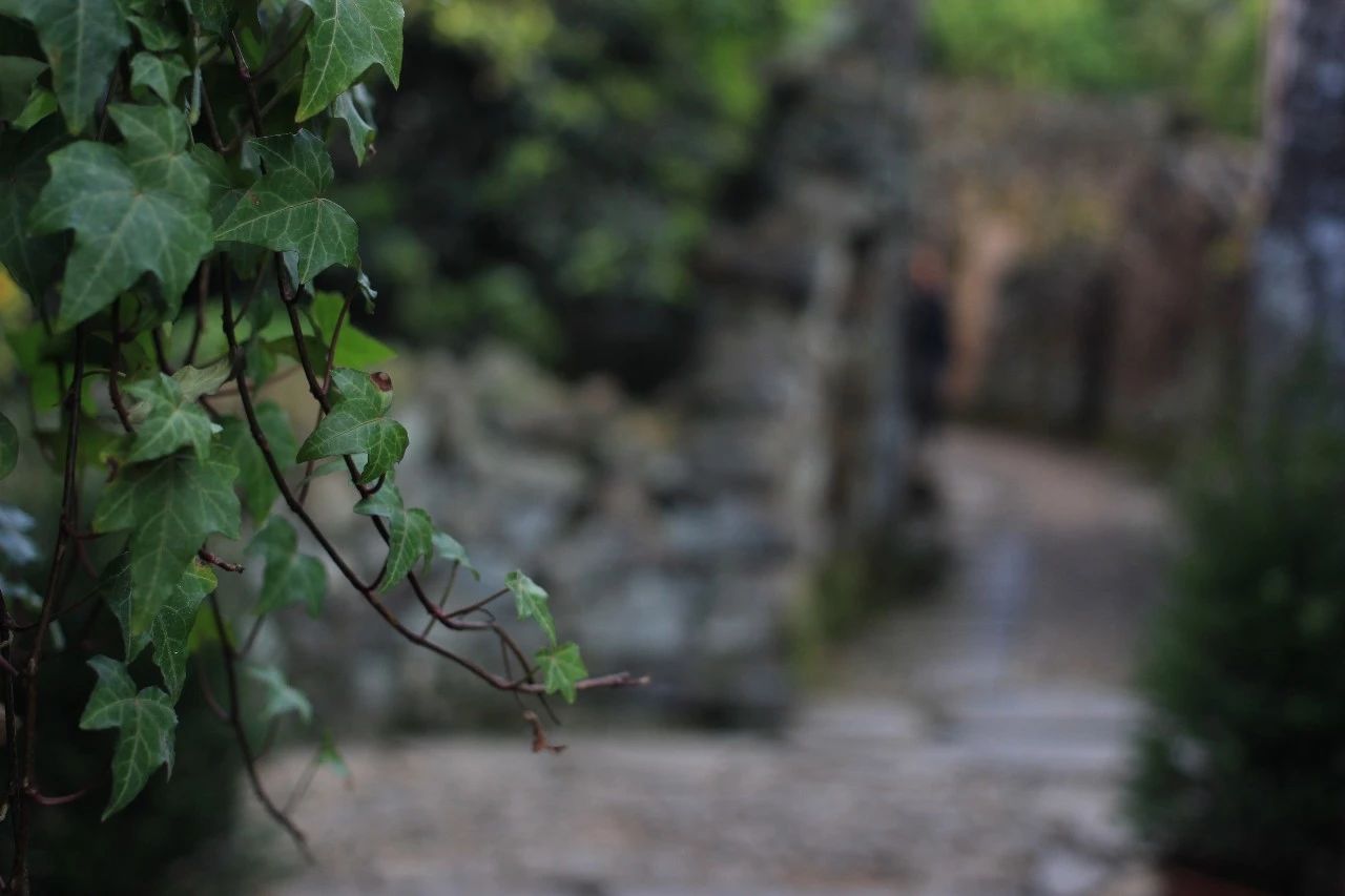 九熹·大樂(lè)之野，流水的大樂(lè)之野鐵打的小白墻