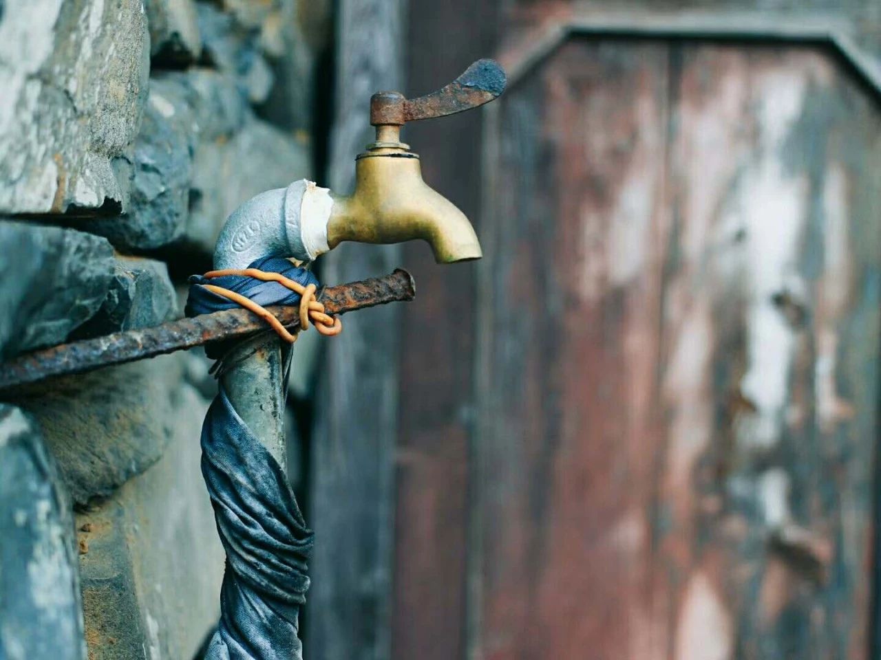 九熹·大樂(lè)之野，流水的大樂(lè)之野鐵打的小白墻