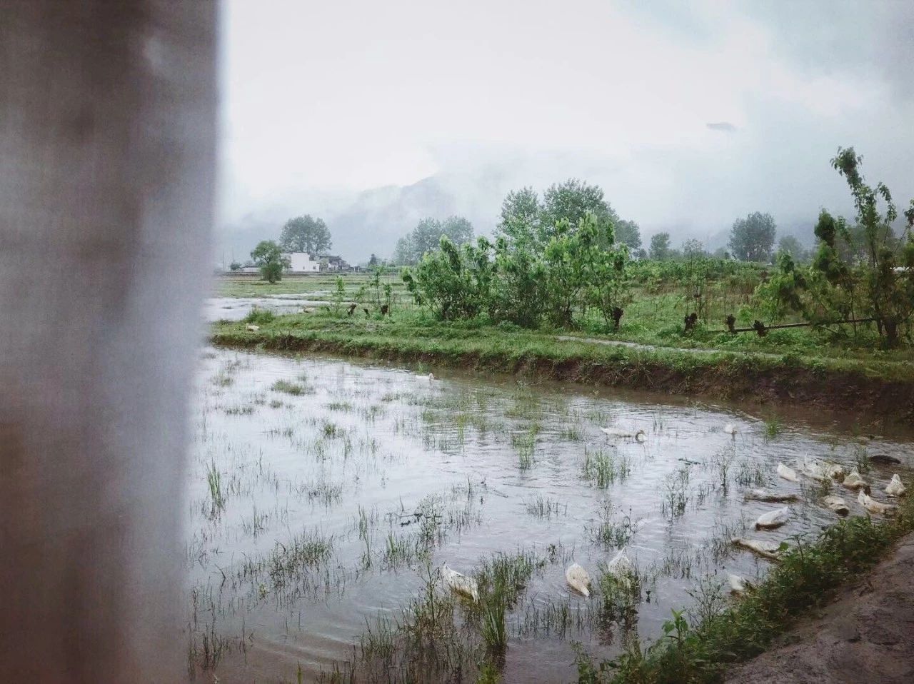 黃山·東田別野，日出而作日落而息的時(shí)光野