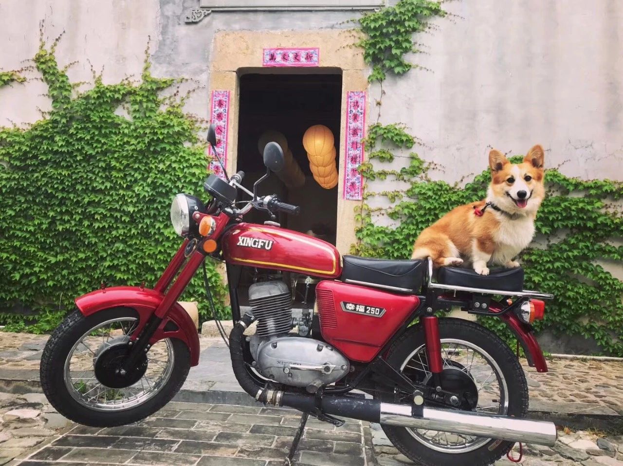 黃山·東田別野，日出而作日落而息的時光野