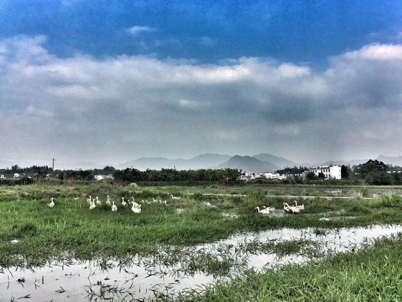 黃山·東田別野，日出而作日落而息的時光野