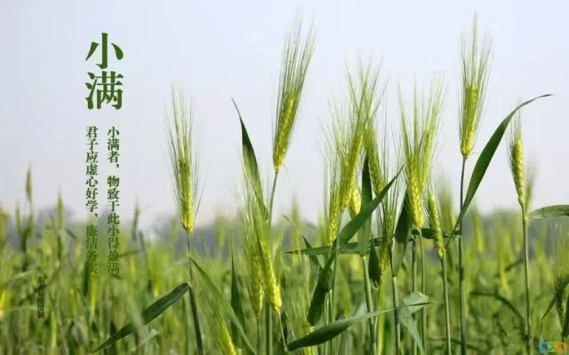 小滿節(jié)氣，人生小滿