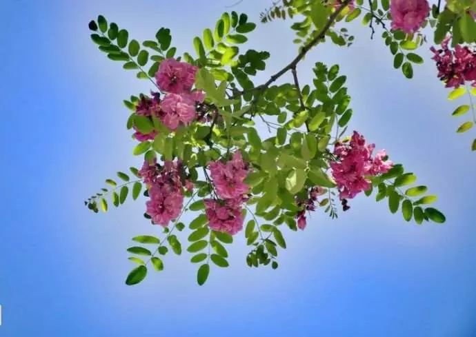 小滿節(jié)氣，人生小滿