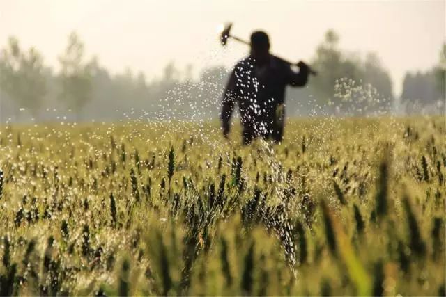 小滿節(jié)氣，人生小滿
