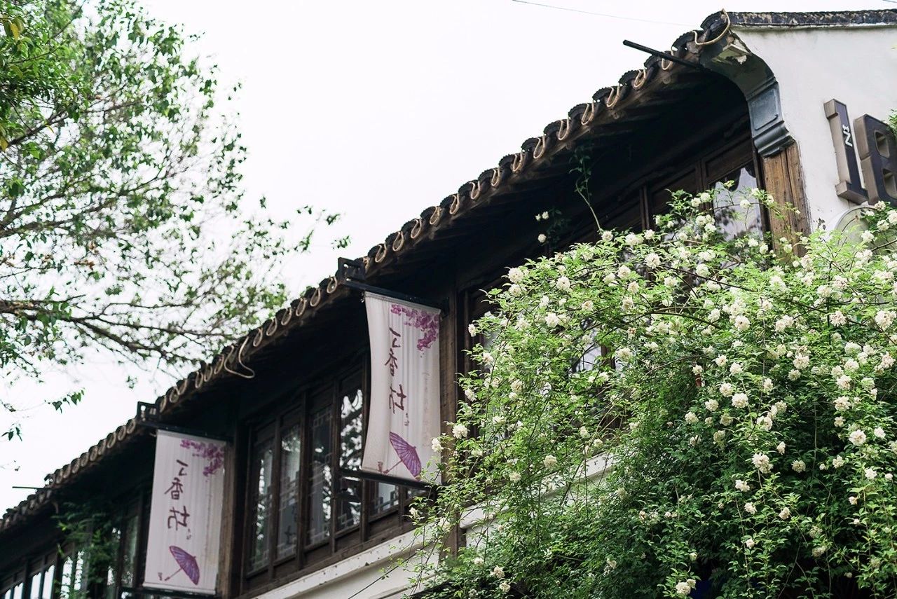 蘇州·蘇舍，在平江路享受蘇州的慢與蘇
