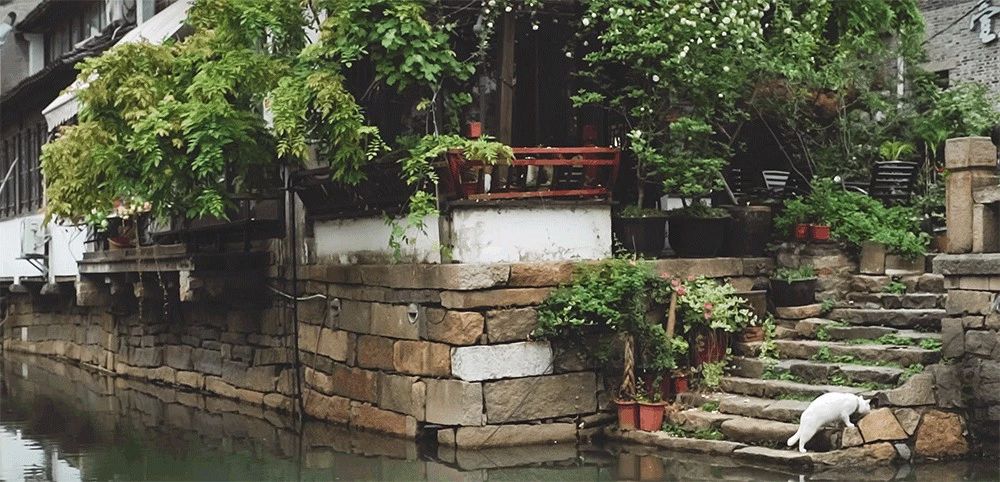 蘇州·蘇舍，在平江路享受蘇州的慢與蘇