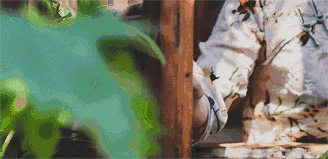 蘇州·蘇舍，在平江路享受蘇州的慢與蘇