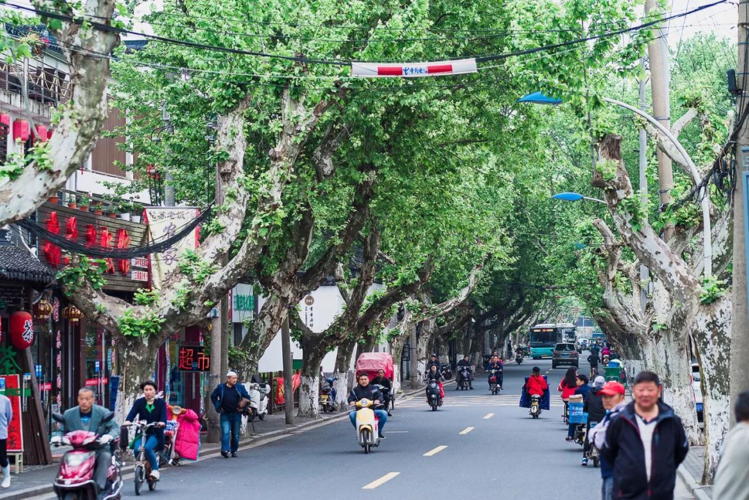 蘇州·蘇舍，在平江路享受蘇州的慢與蘇