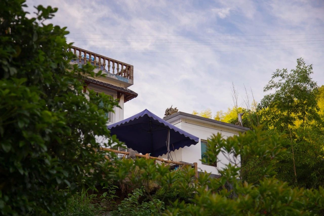 點(diǎn)叁民宿，千島湖坐船賞景豈不詩(shī)意？