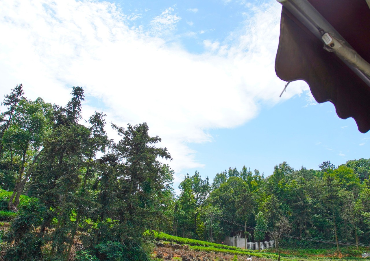 點(diǎn)叁民宿，千島湖坐船賞景豈不詩意？