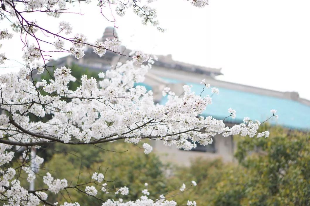 遇見中國最美的風(fēng)景，30個景色宜人的地方！