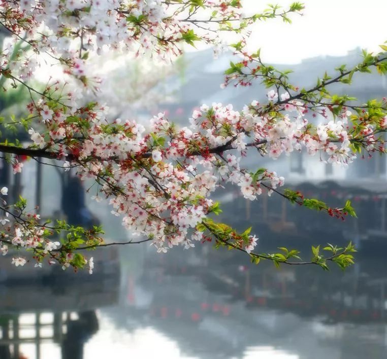 遇見中國(guó)最美的風(fēng)景，30個(gè)景色宜人的地方！