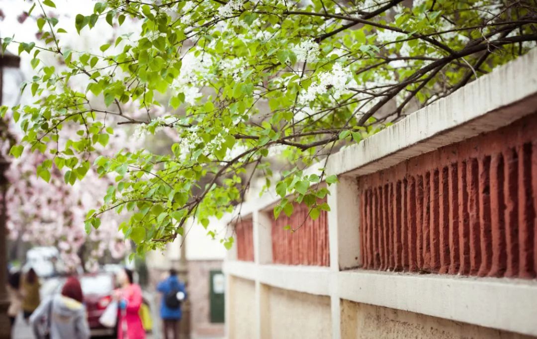 遇見中國最美的風景，30個景色宜人的地方！