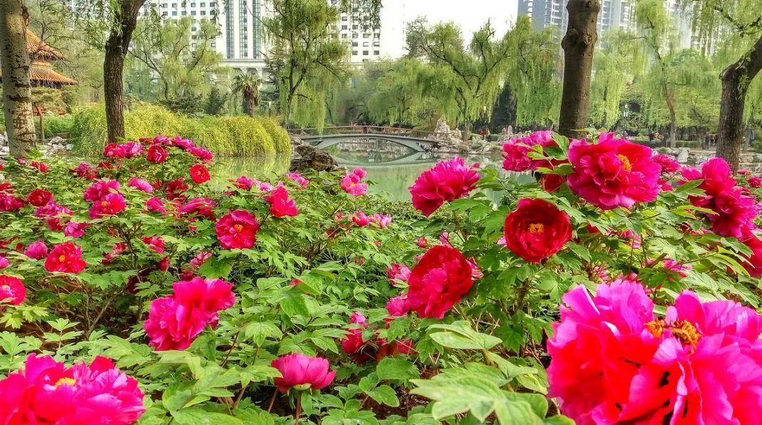 遇見中國(guó)最美的風(fēng)景，30個(gè)景色宜人的地方！