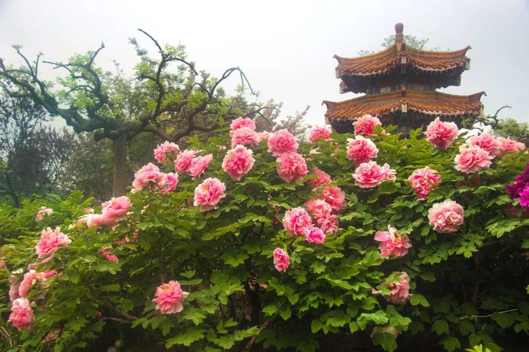 遇見中國(guó)最美的風(fēng)景，30個(gè)景色宜人的地方！