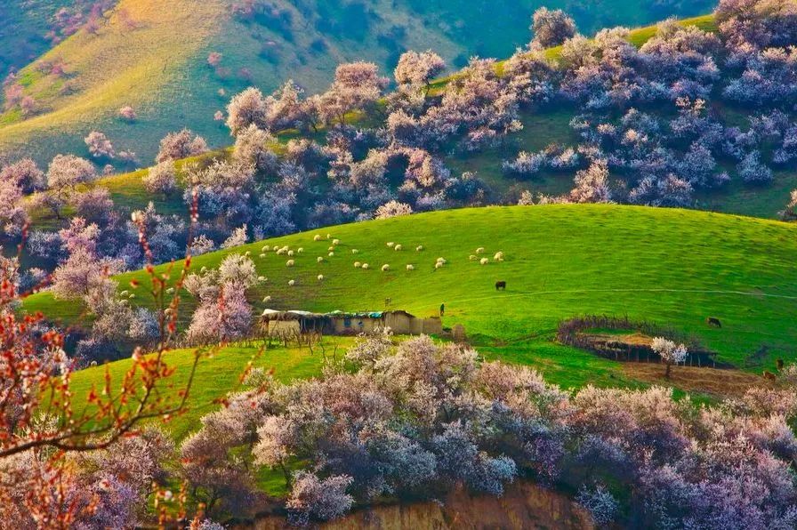 遇見(jiàn)中國(guó)最美的風(fēng)景，30個(gè)景色宜人的地方！