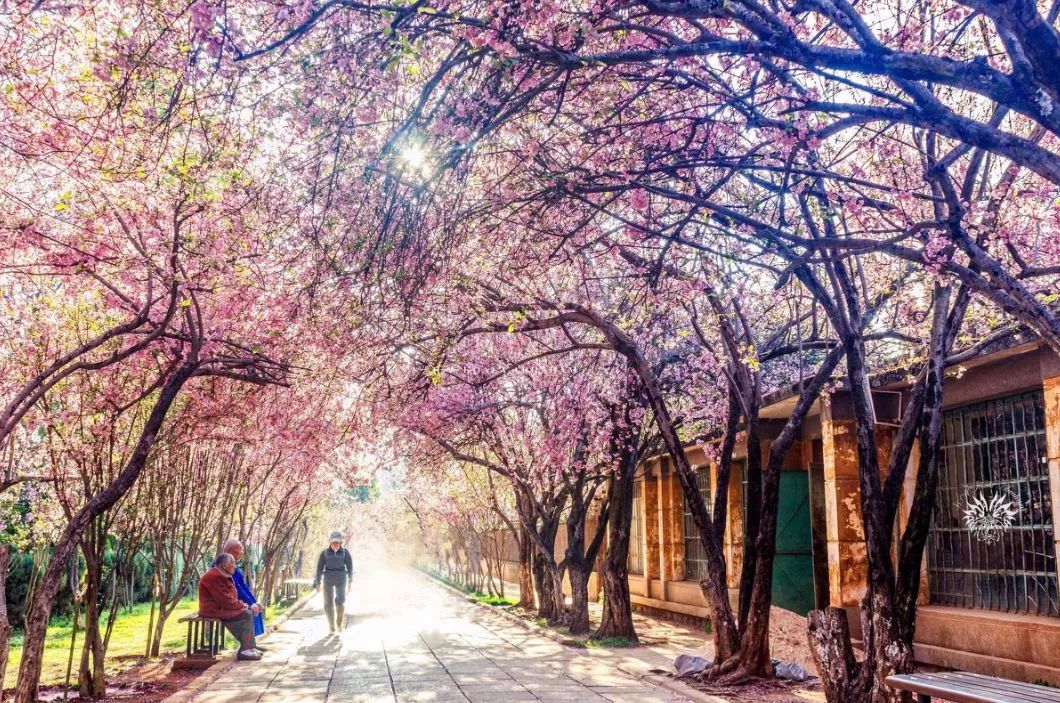 遇見中國最美的風(fēng)景，30個景色宜人的地方！