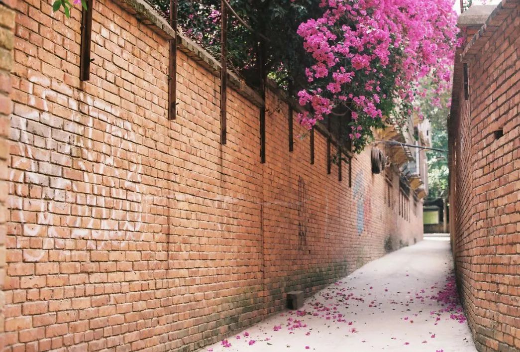 遇見中國最美的風(fēng)景，30個景色宜人的地方！