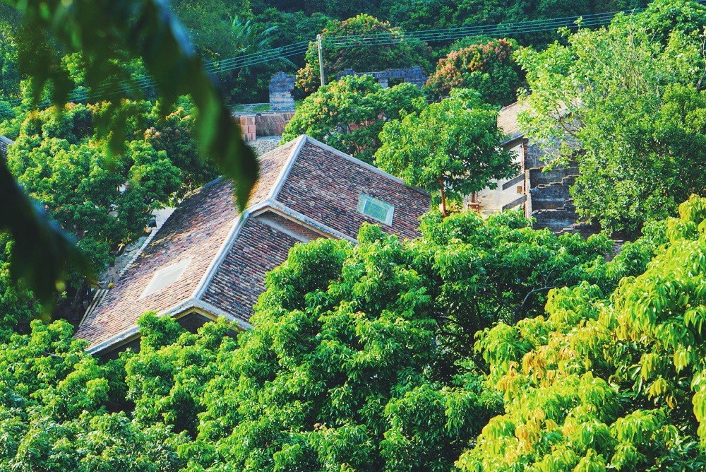 廣州·菁木山舍，有個木屋開滿鮮花看花開花落