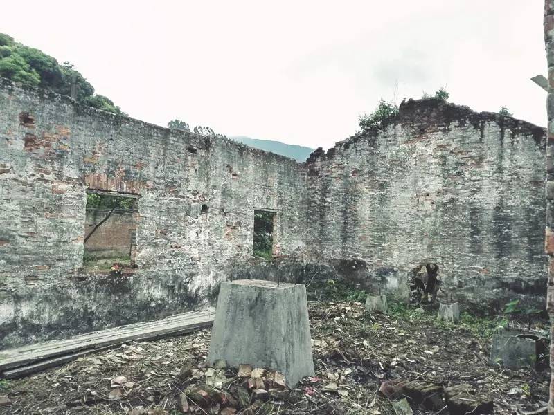 廣州·菁木山舍，有個木屋開滿鮮花看花開花落