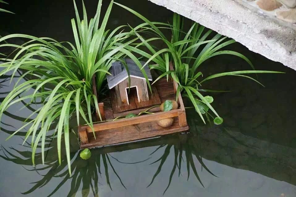 廣州·菁木山舍，有個(gè)木屋開滿鮮花看花開花落