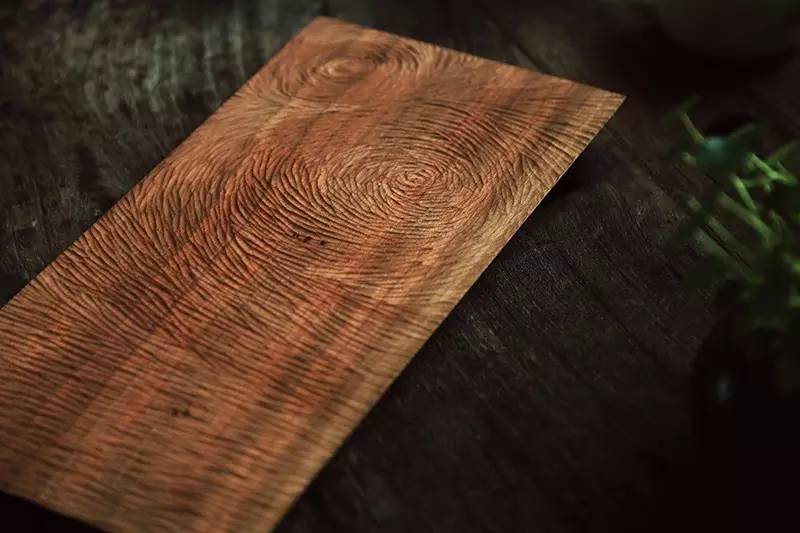 廣州·菁木山舍，有個木屋開滿鮮花看花開花落