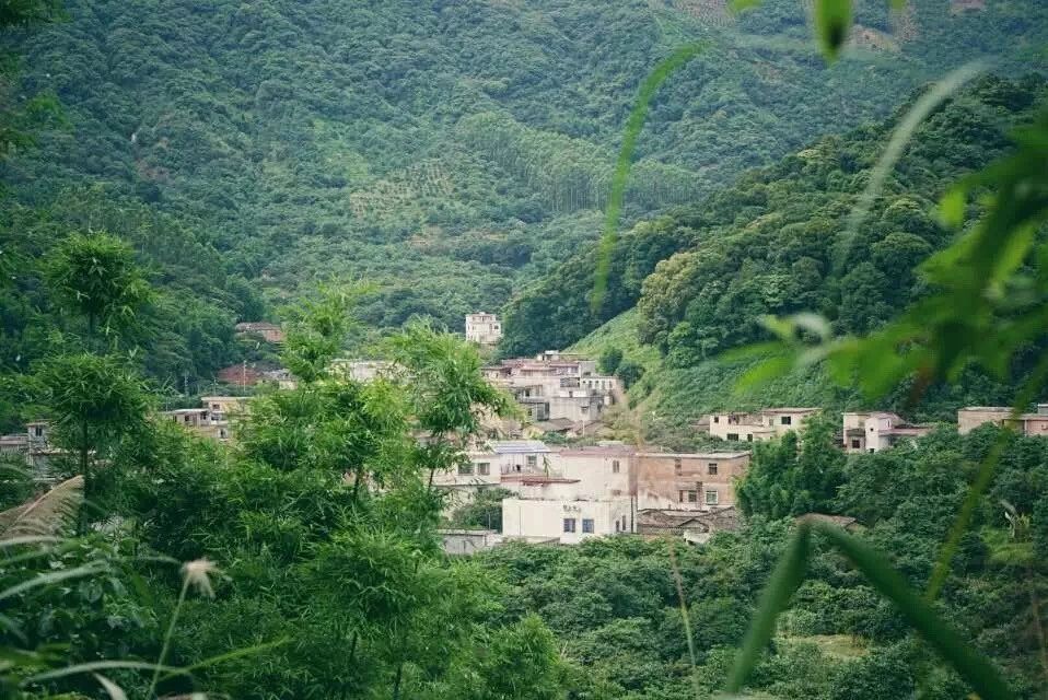 廣州·菁木山舍，有個(gè)木屋開滿鮮花看花開花落
