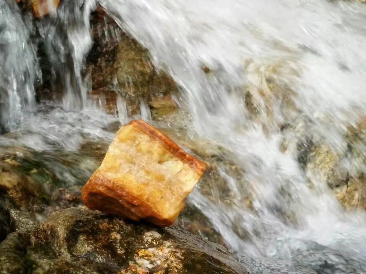 廣州·菁木山舍，有個(gè)木屋開滿鮮花看花開花落