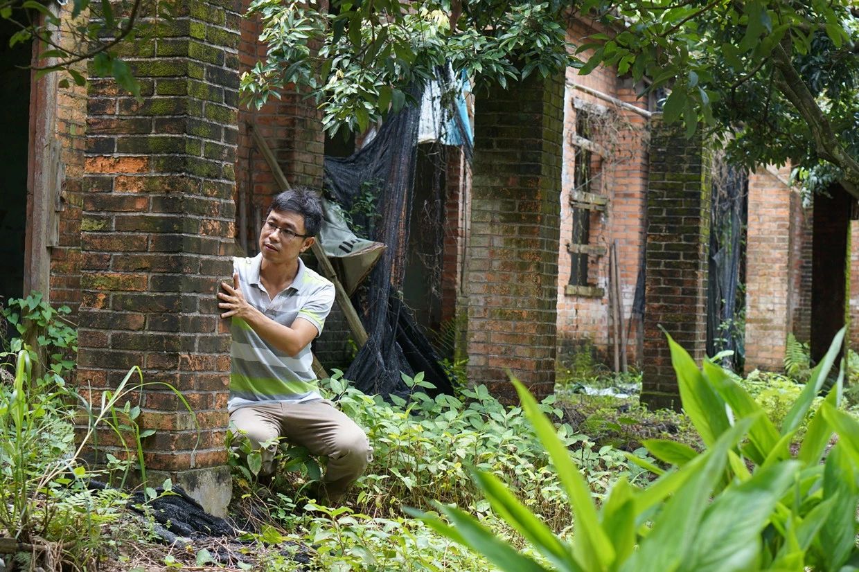 廣州·菁木山舍，有個木屋開滿鮮花看花開花落