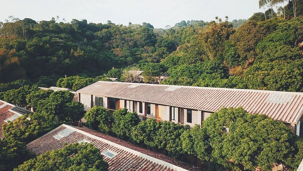 廣州·菁木山舍，有個木屋開滿鮮花看花開花落