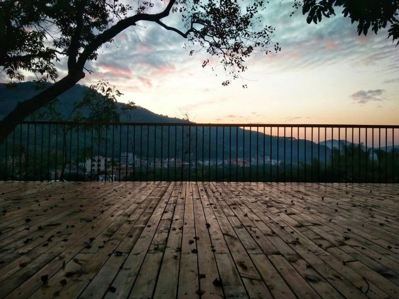 廣州·菁木山舍，有個木屋開滿鮮花看花開花落