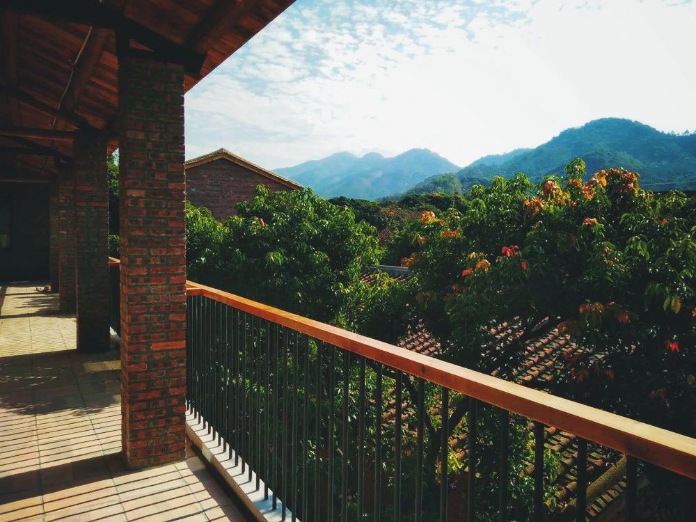 廣州·菁木山舍，有個木屋開滿鮮花看花開花落