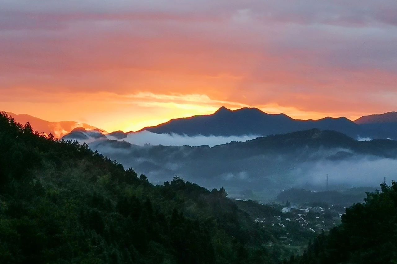 一音禪師的佛系生活：獨(dú)自修行活在當(dāng)下！