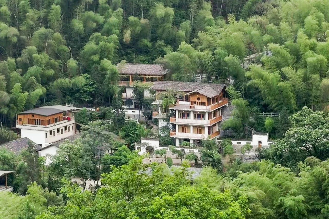 一音禪師的佛系生活：獨自修行活在當下！