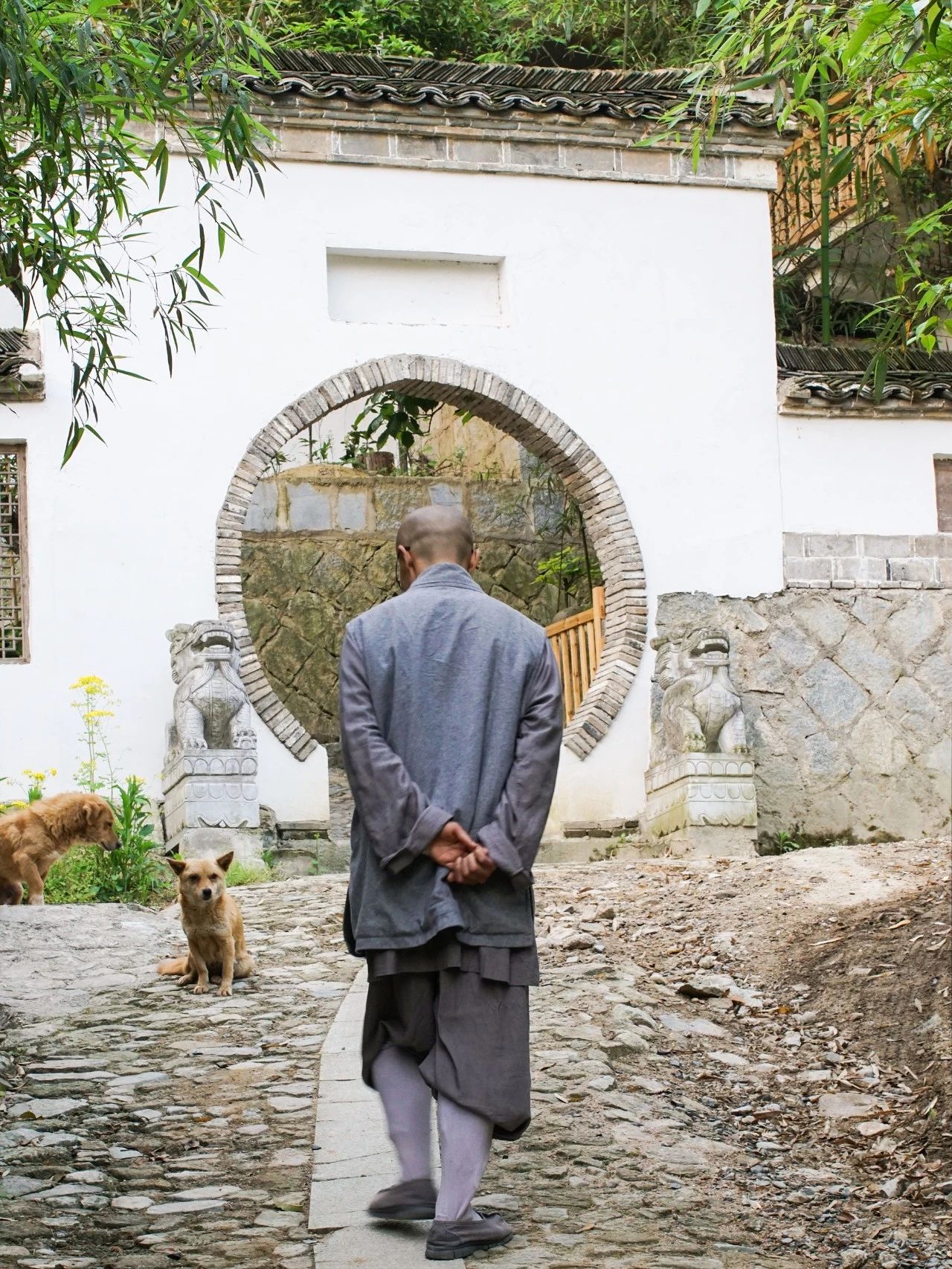 一音禪師的佛系生活：獨自修行活在當下！