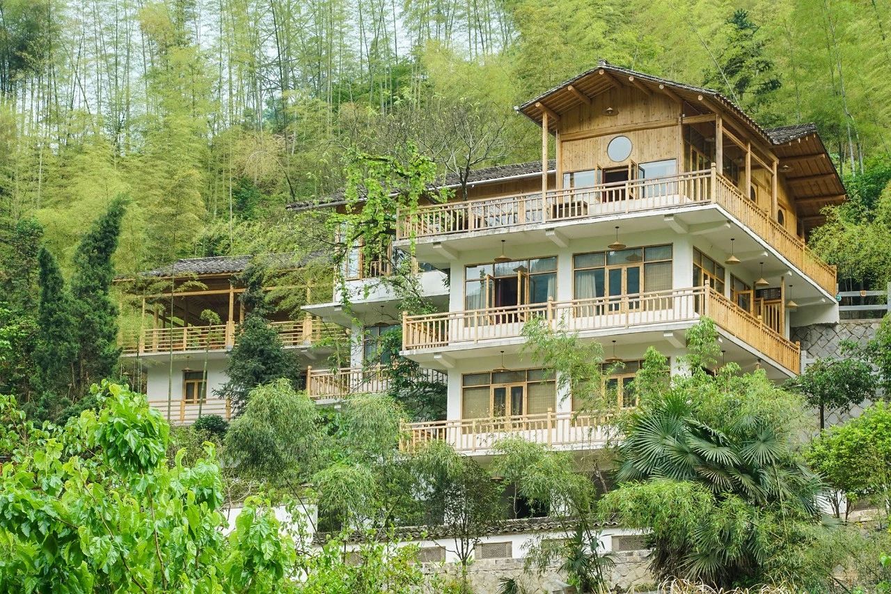 一音禪師的佛系生活：獨自修行活在當下！