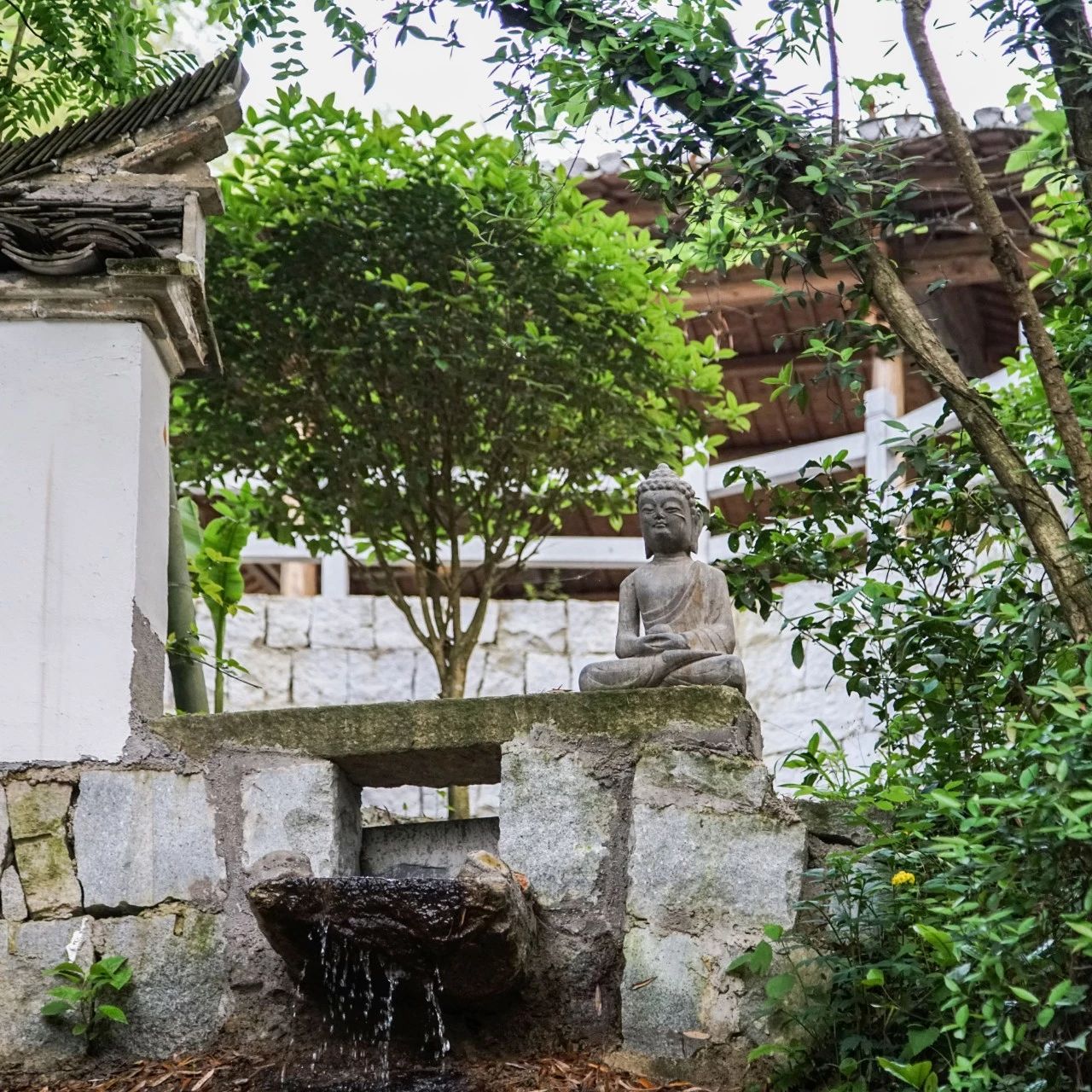 一音禪師的佛系生活：獨(dú)自修行活在當(dāng)下！