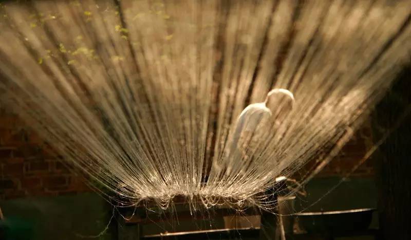 中國(guó)最古老布料:夏布微涼款款起舞