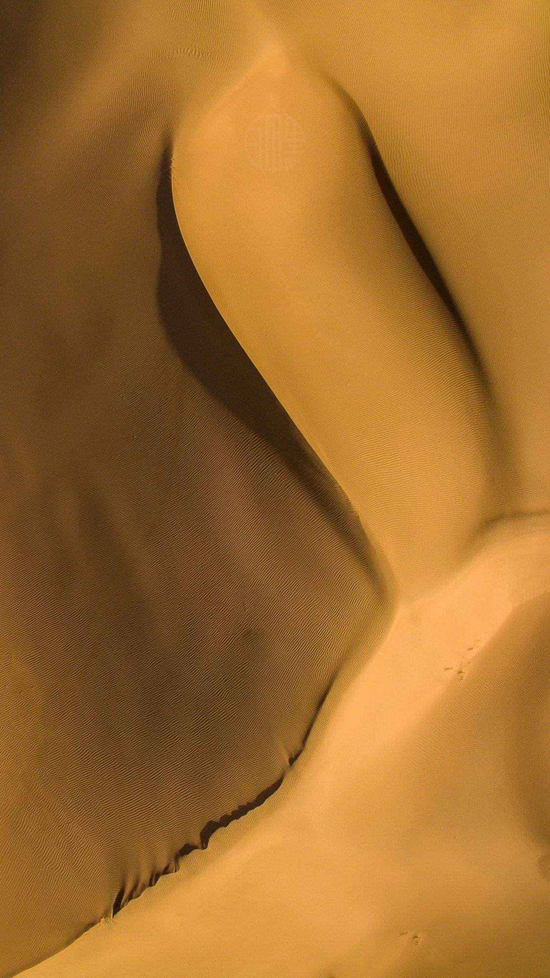 驚艷家佳樂(lè)文學(xué)景：發(fā)現(xiàn)未知的美！