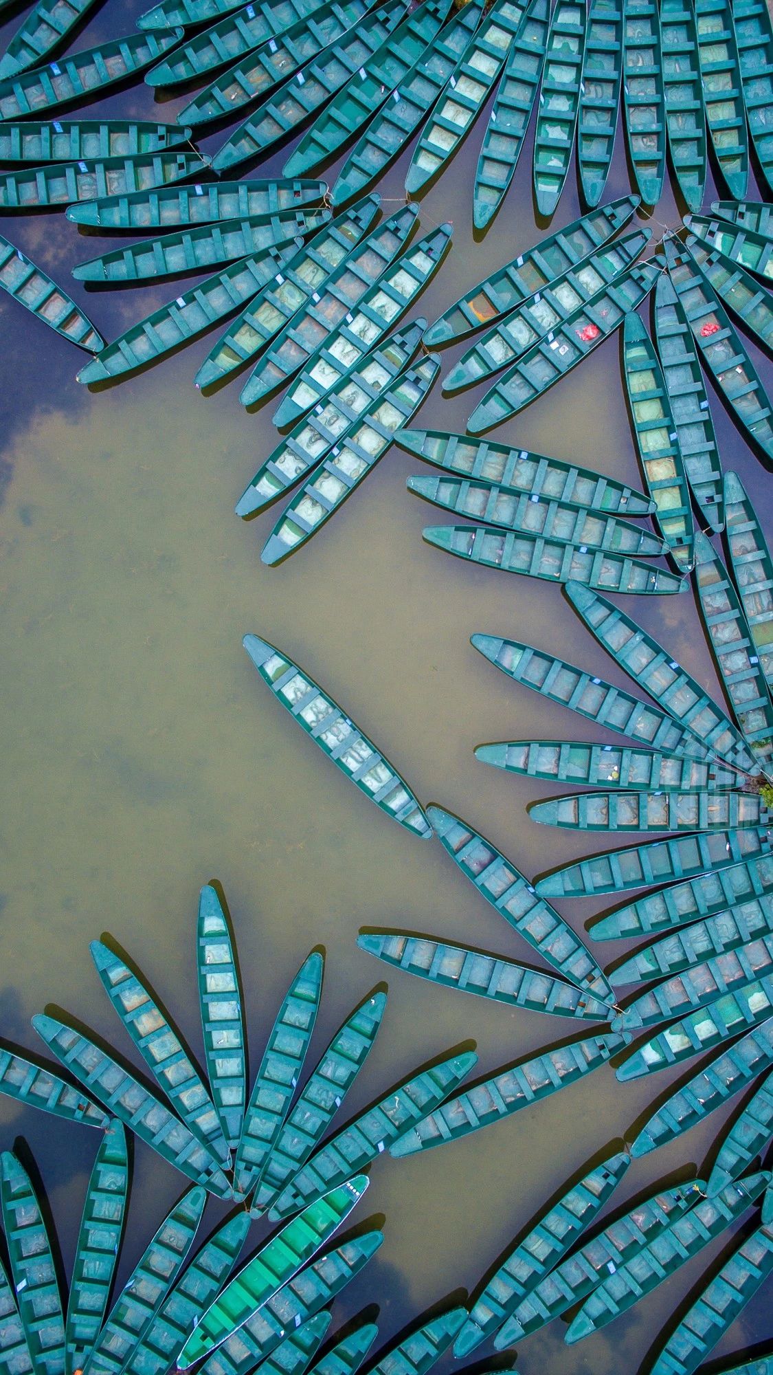 驚艷家佳樂文學景：發(fā)現(xiàn)未知的美！