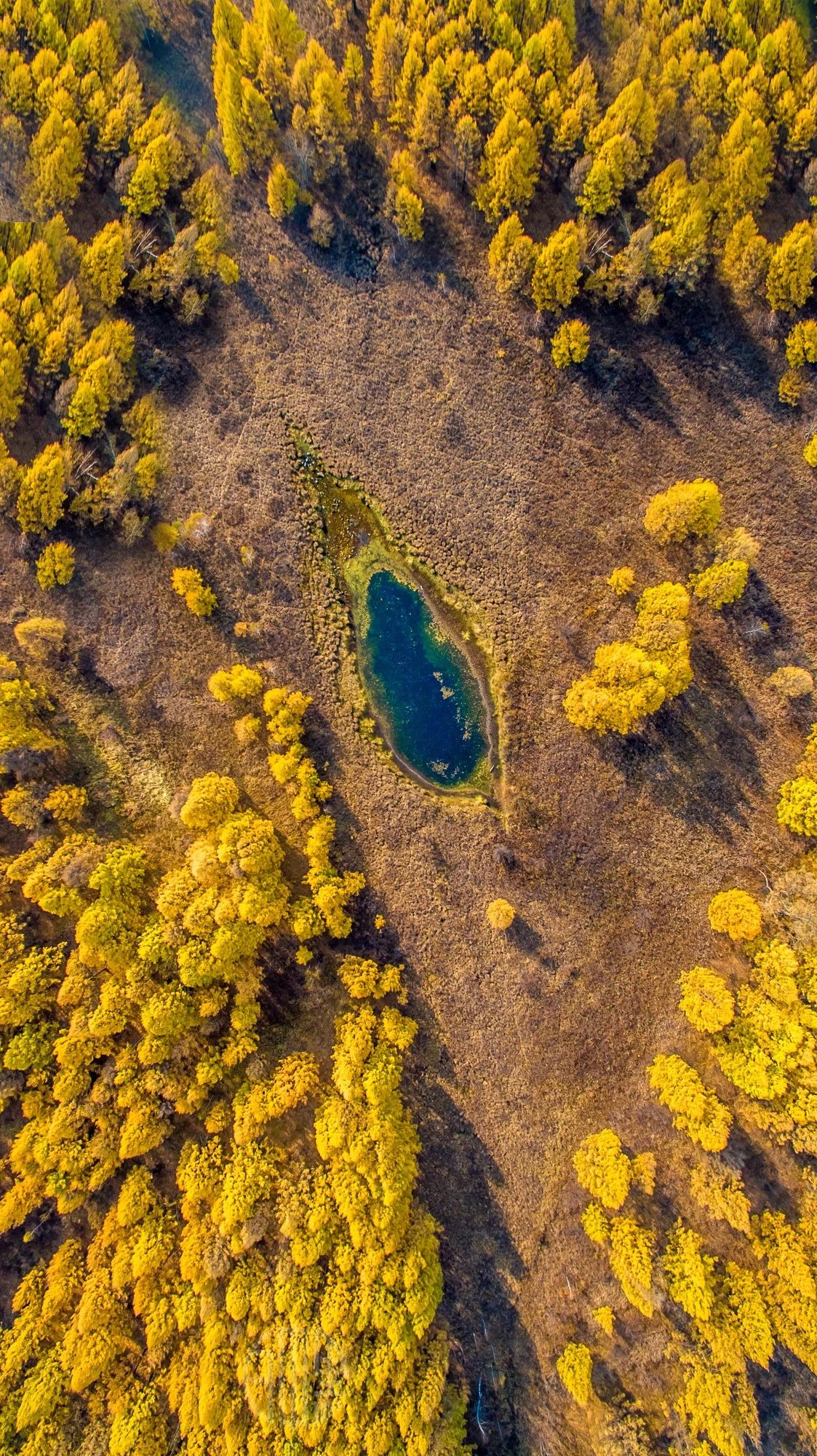 驚艷家佳樂文學景：發(fā)現(xiàn)未知的美！