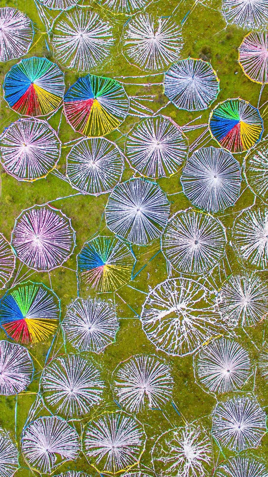 驚艷家佳樂文學景：發(fā)現(xiàn)未知的美！