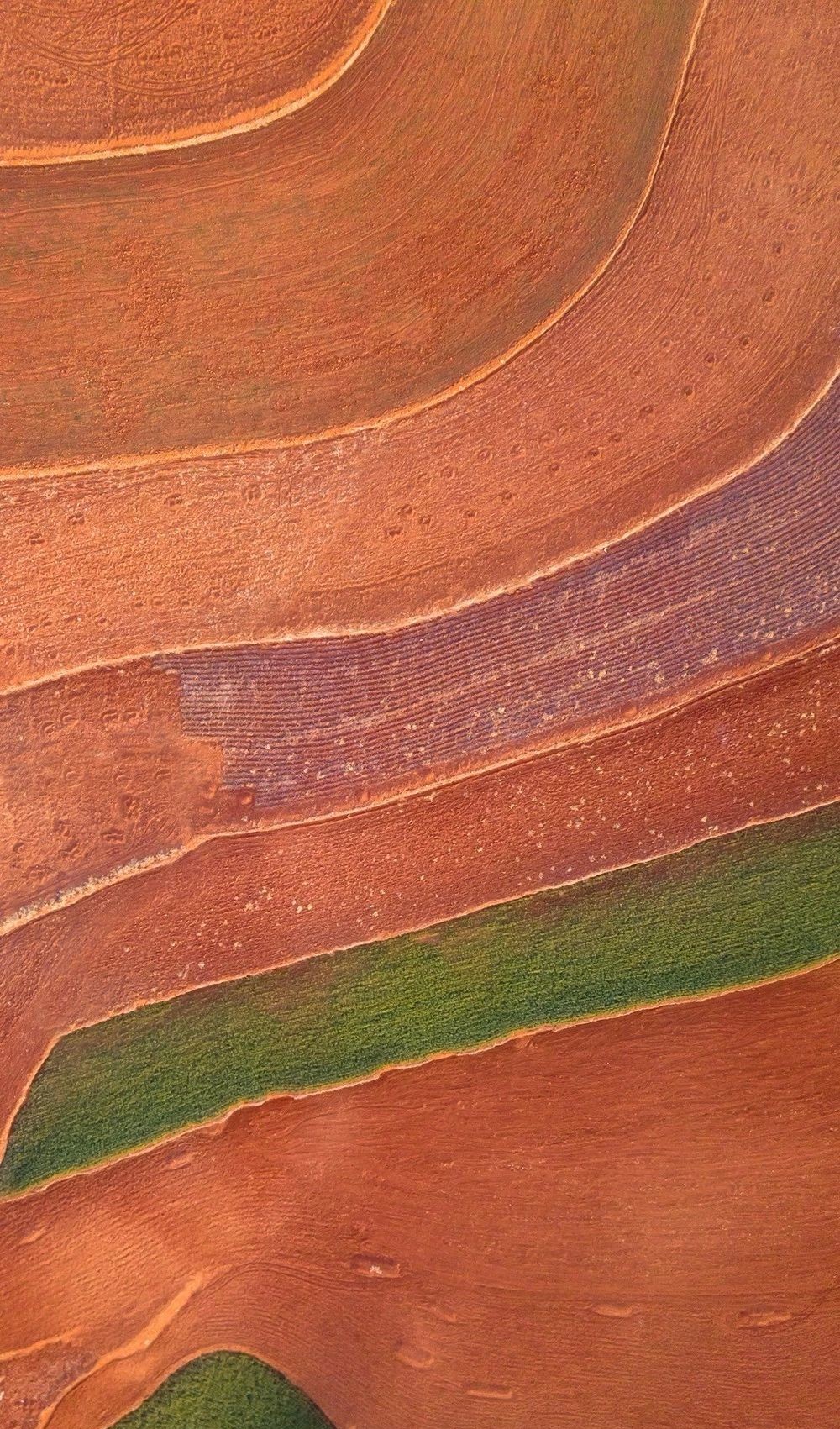 驚艷家佳樂文學(xué)景：發(fā)現(xiàn)未知的美！