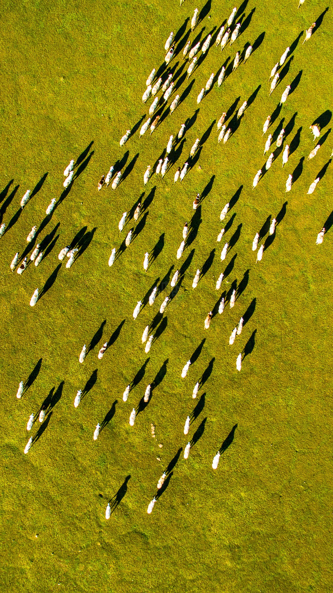 驚艷家佳樂文學(xué)景：發(fā)現(xiàn)未知的美！