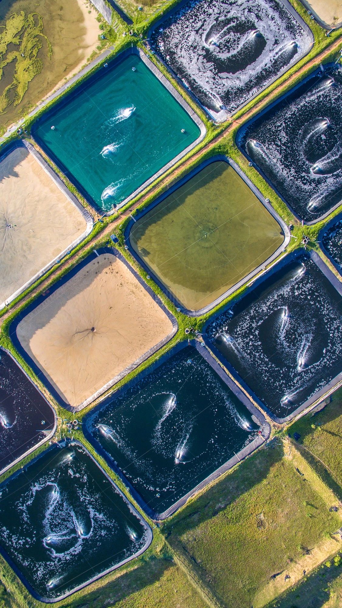 驚艷家佳樂文學(xué)景：發(fā)現(xiàn)未知的美！