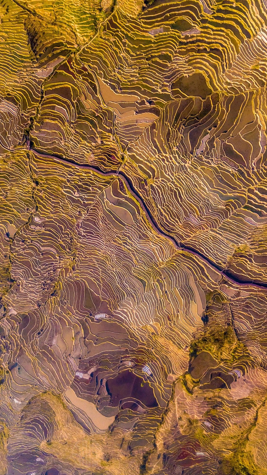 驚艷家佳樂文學(xué)景：發(fā)現(xiàn)未知的美！