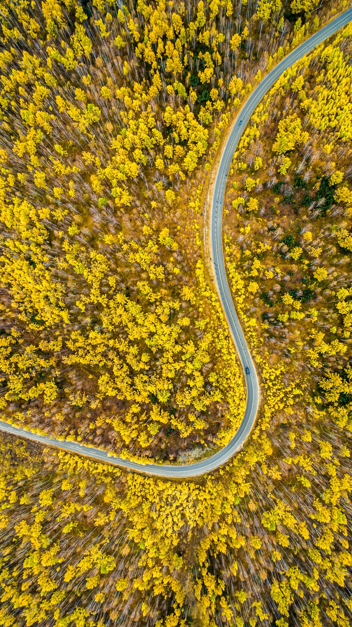 驚艷家佳樂文學(xué)景：發(fā)現(xiàn)未知的美！