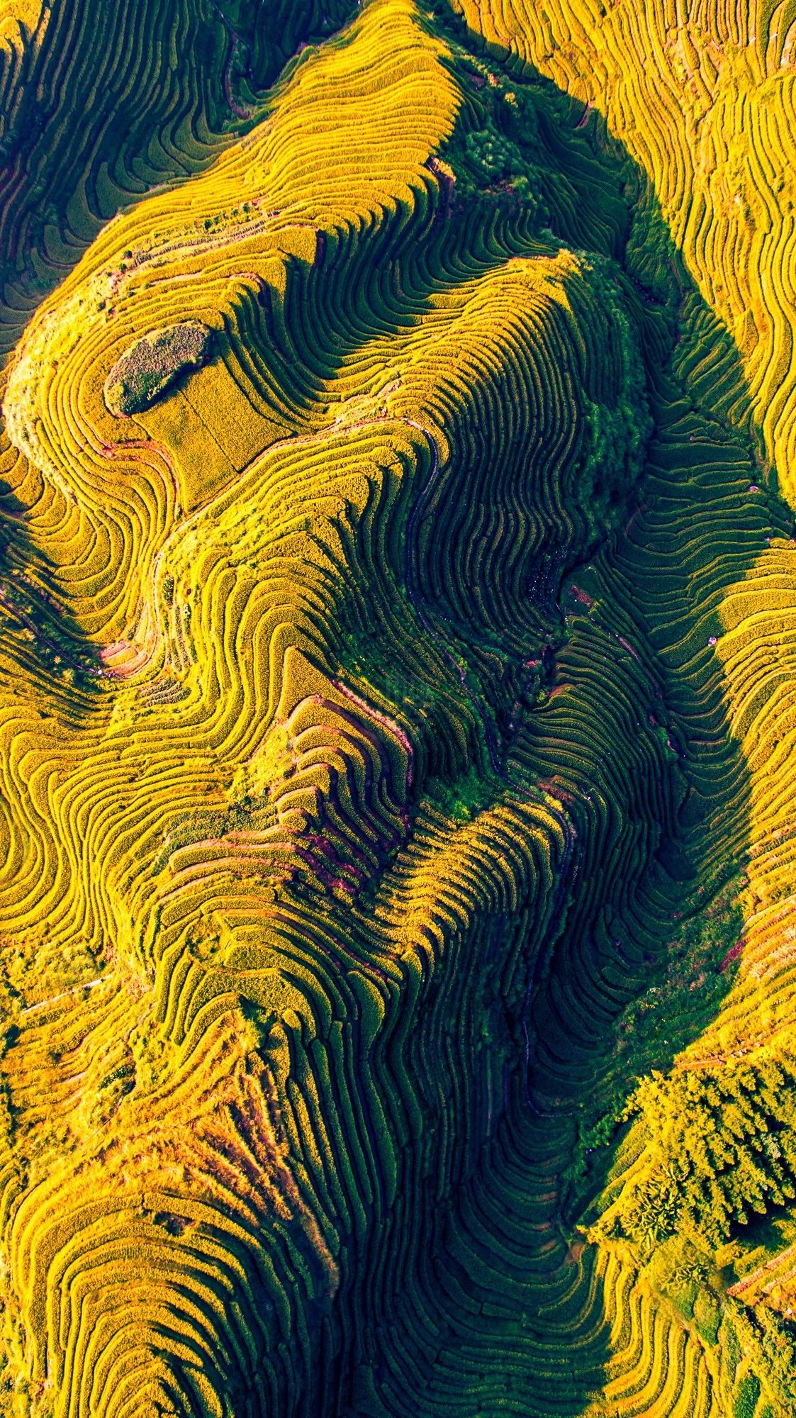 驚艷家佳樂文學(xué)景：發(fā)現(xiàn)未知的美！