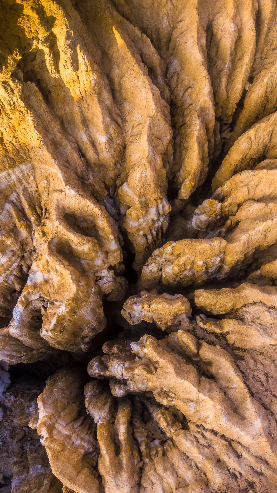 驚艷家佳樂文學(xué)景：發(fā)現(xiàn)未知的美！